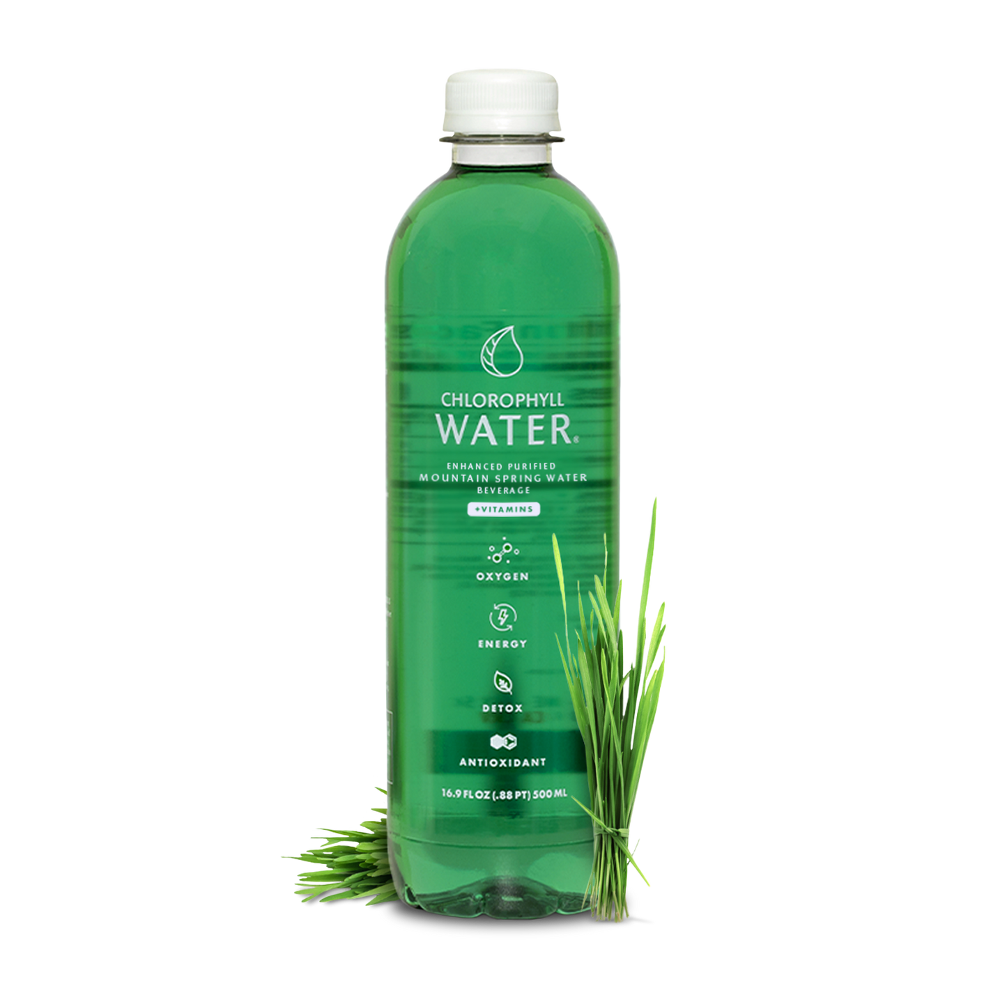 Chlorophyll Water