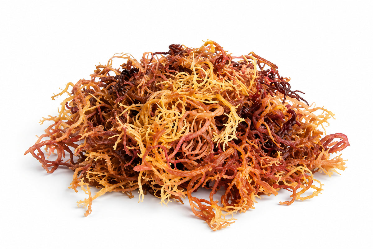 Full Spectrum Sea Moss (Muti-colored)