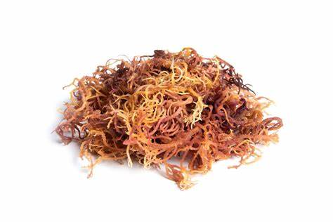 Full Spectrum Sea Moss (Muti-colored)